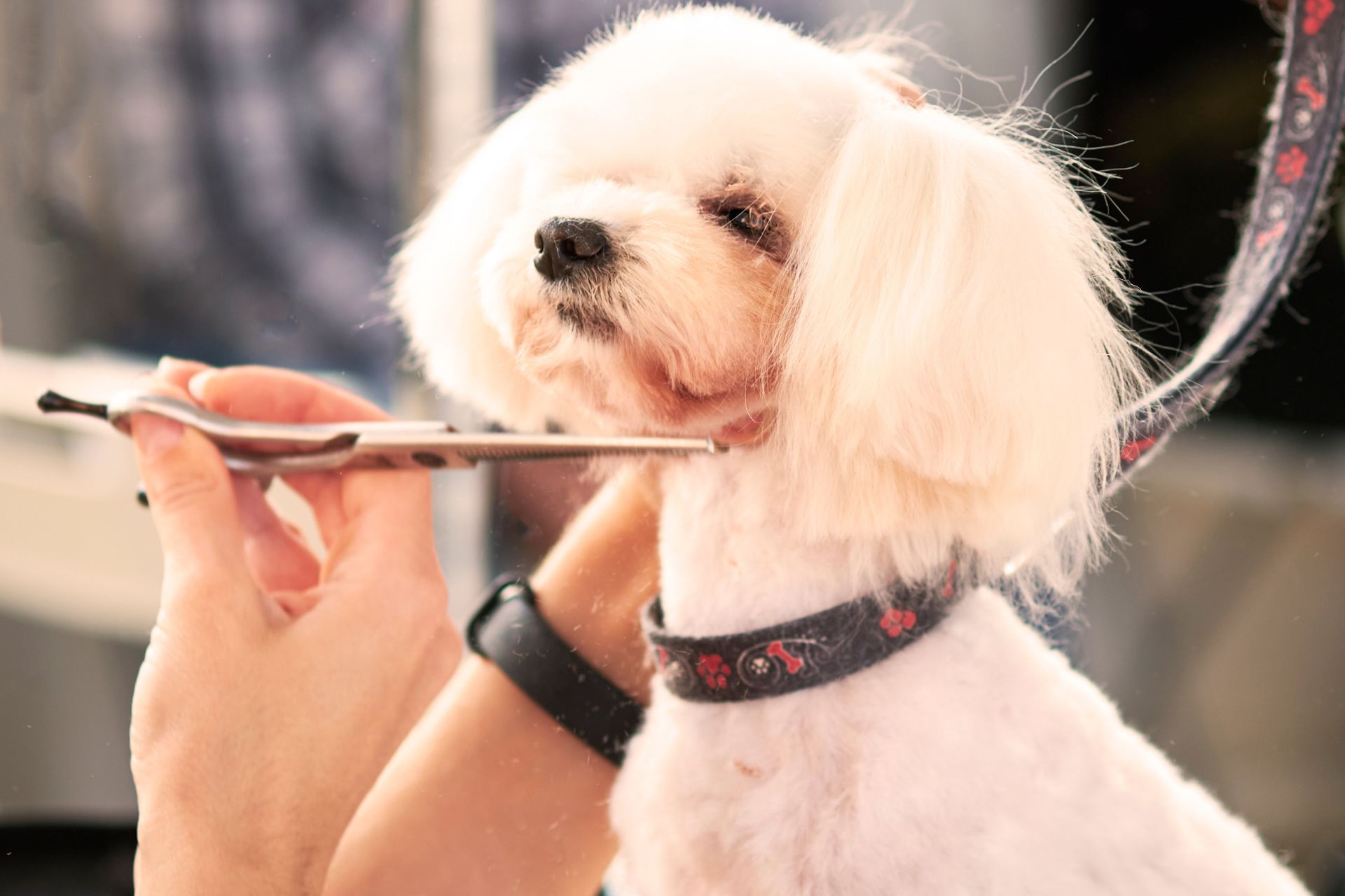 Grooming