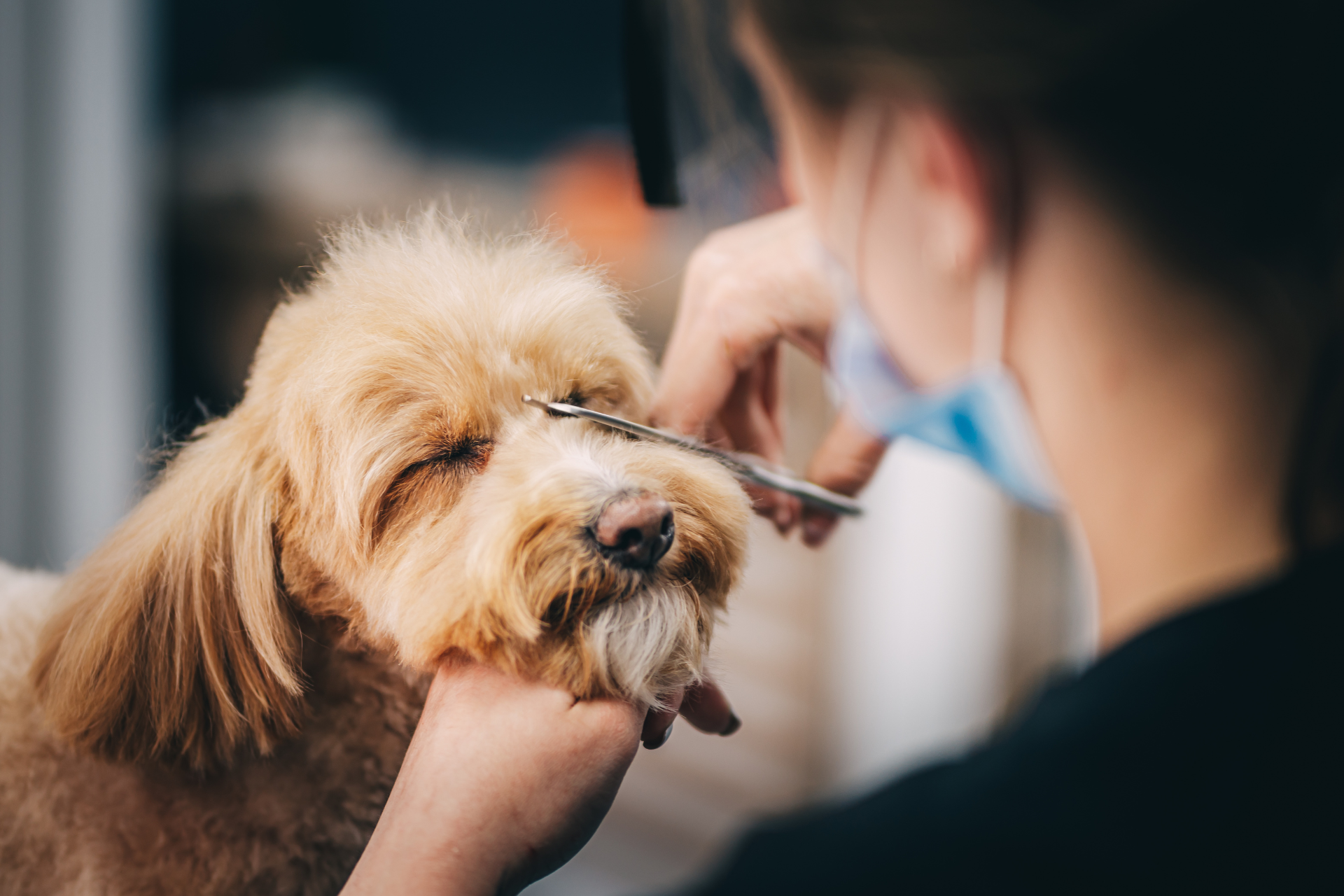 Grooming