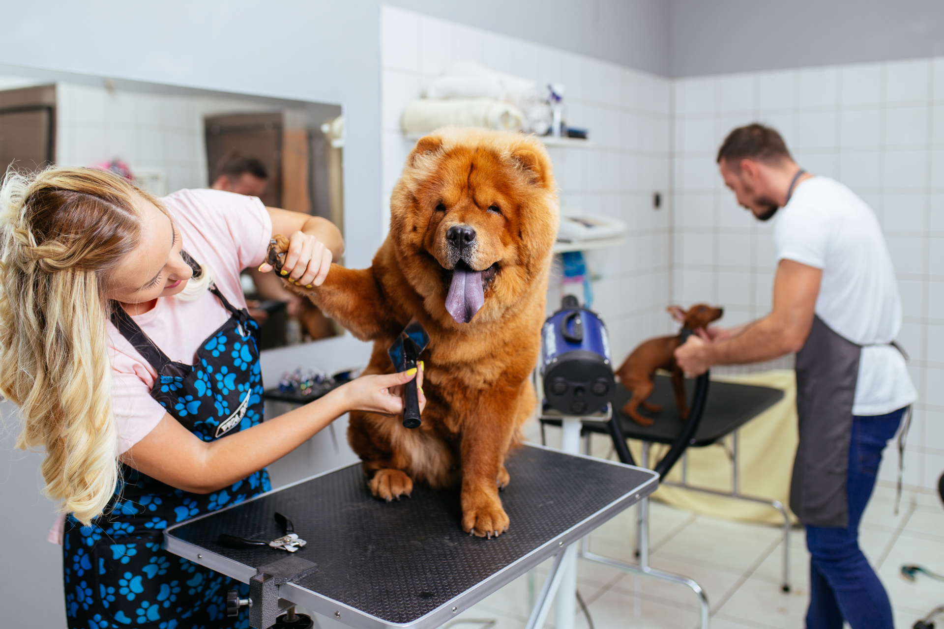 Grooming work