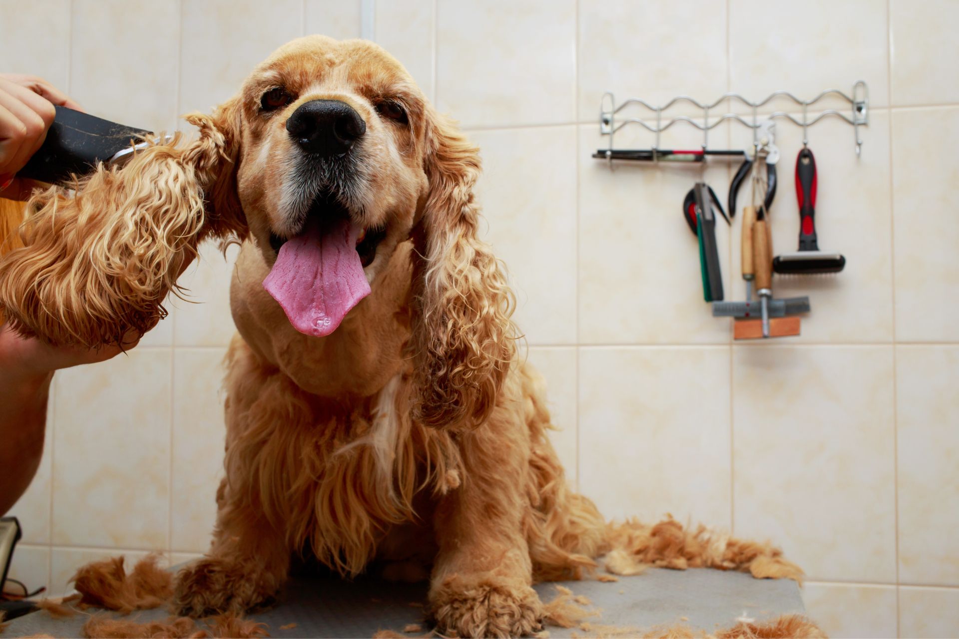 Grooming work