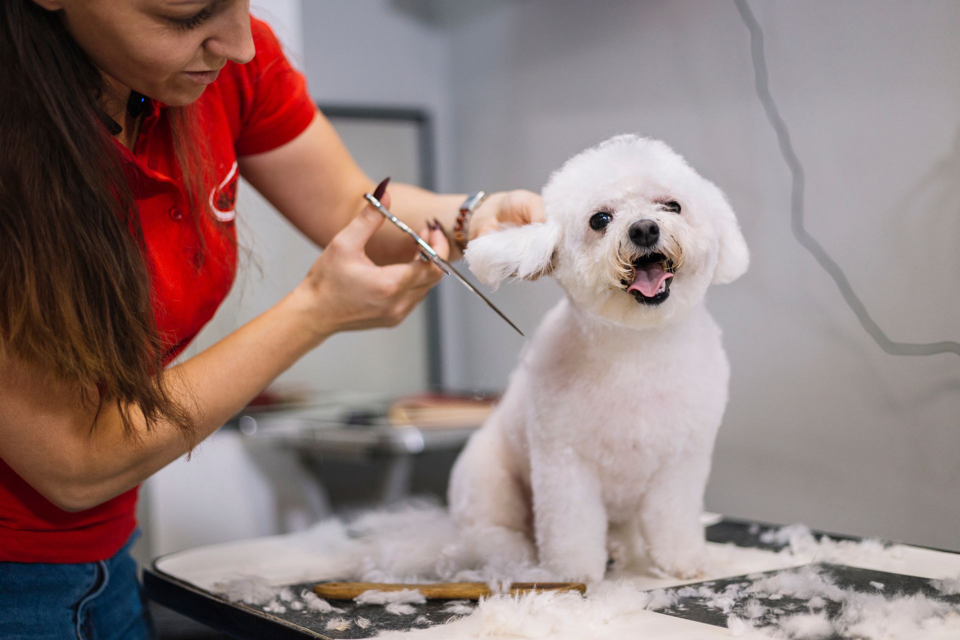 Grooming work