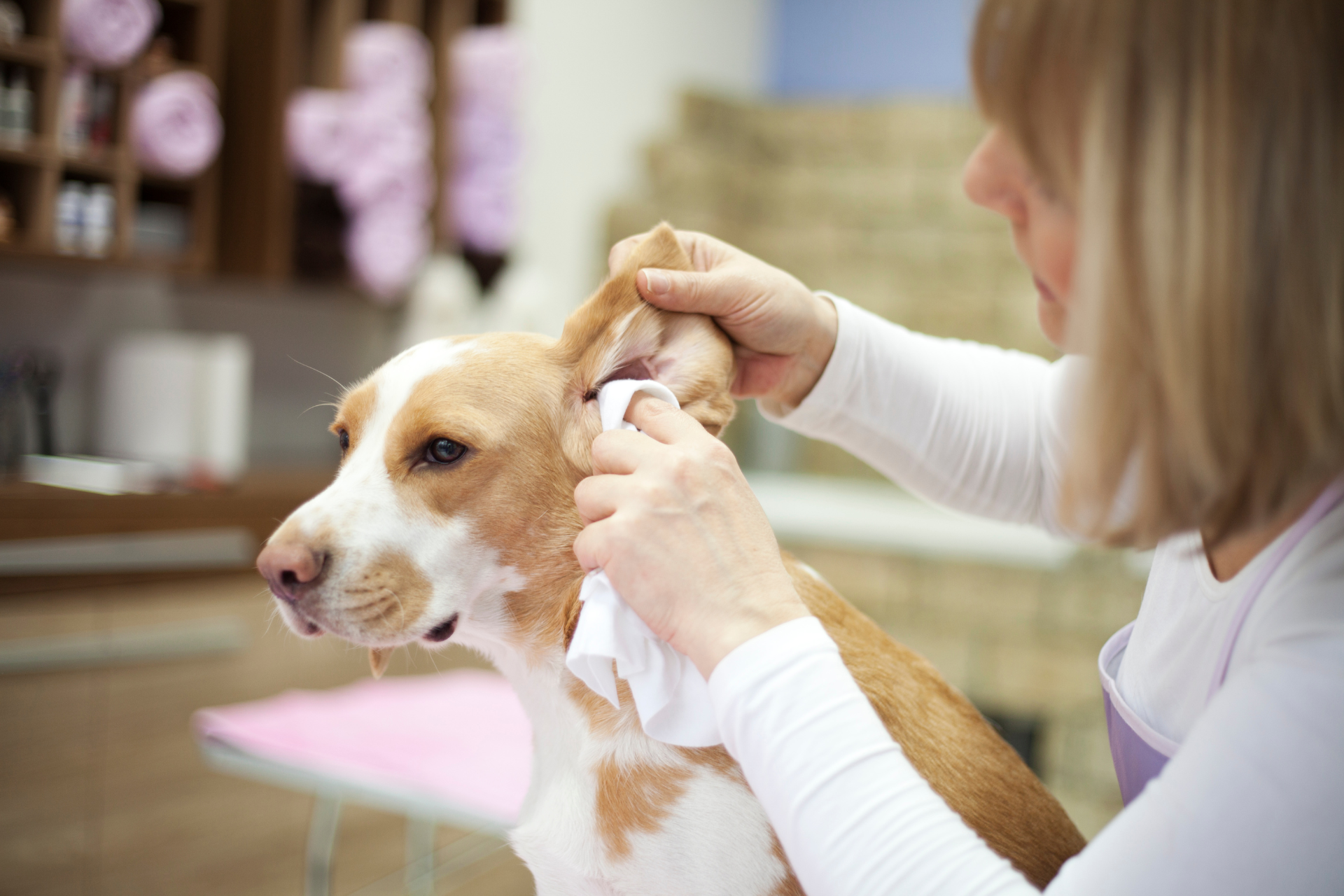 Grooming work