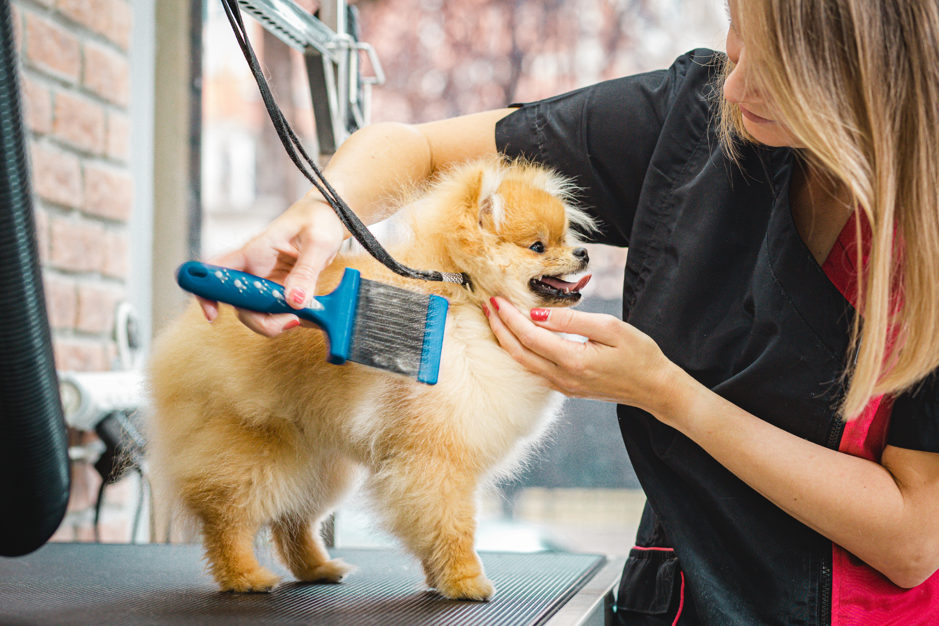 Grooming