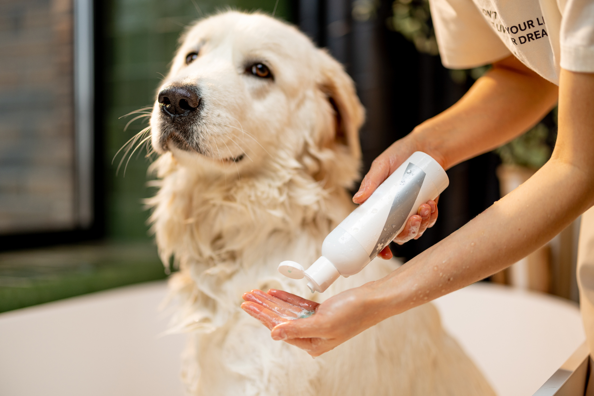 Grooming work