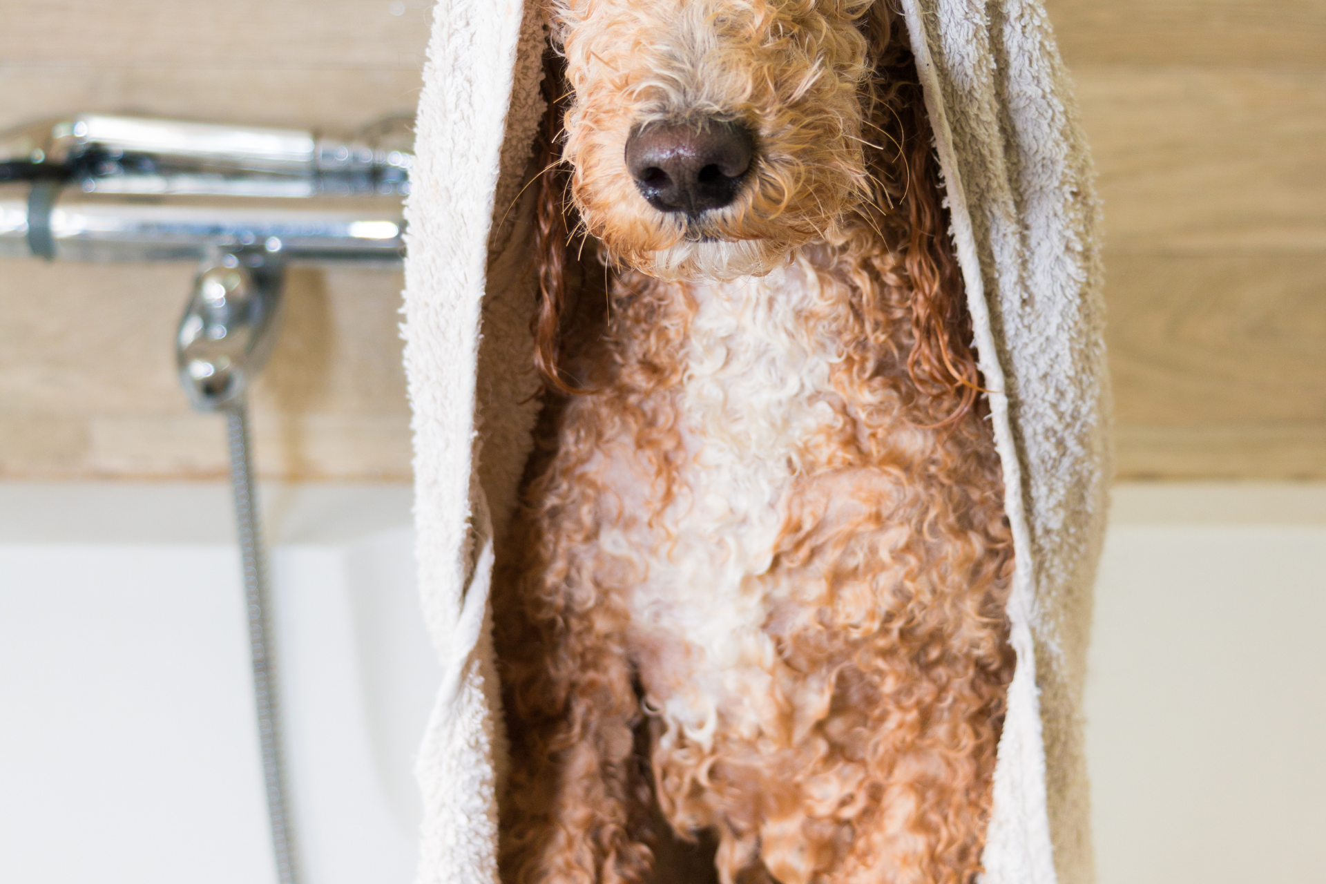 Grooming work
