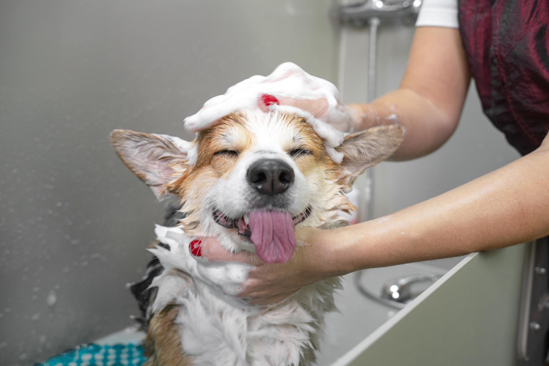 Grooming