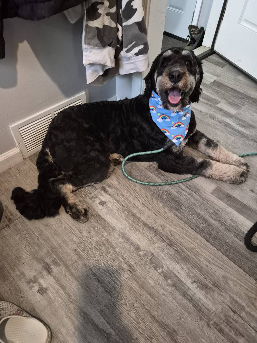 Bath & Brush